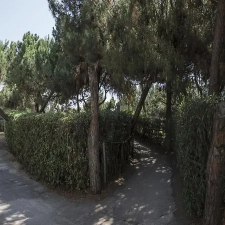 Giulivo Lejlighed Baia Domizia